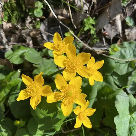 Nad Soutokem Lejlighed *